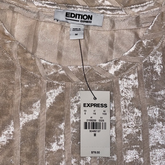 EXPRESS velvet striped sheer short sleeve shirt w/ high-low slit in size medium - Picture 6 of 9
